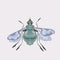 Fly is a nasty buzzing insect decorative stylized image.