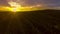 Fly over a hillside, over rows of vineyards