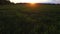 Fly overt meadow in sunset light