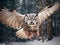 fly of owl. Flying Eurasian Eagle owl with open wings with snow flake in snowy forest during cold winter