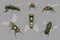 Fly set. Realistic dirt insects pests decent vector mosquito illustrations