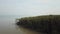 Fly toward mangrove tree forest with boat sail background at Malaysia