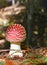 Flyagaric mushroom