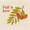 Flyer Fall is here with mountain ash twig