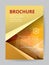 Flyer template A4 size gold low polygon color theme background.