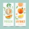 Flyer watercolor design with Fruits theme, melon and orange vector illustration template