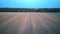 Flying above the field with hay rolls sunrise. Hay bale rolls in the field 4k aerial dron shot.