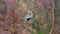 Flying above a monumental cave entrance among trees by drone