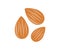 Flying almond isolated on white background logo design. Organic fresh almond, Nuts Whole, cut, half, slice almond.