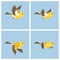 Flying American Goldfinch female animation sprite sheet