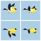 Flying American Goldfinch male animation sprite sheet