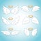 Flying angel wings with gold nimbus. Angelic wing cartoon set. Isolated Illustration of holy symbol collection