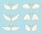 Flying angel wings with gold nimbus. Angelic wing cartoon vector set