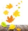 Flying autumn leaves