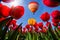 Flying on the balloon over the field of blooming red tulip flowers