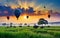 Flying balloons over herd of buffaloes in grass field, AI generated