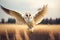 flying barn owl in detail, ai generative