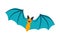 Flying Bat as Australian Animal with Spread Membranous Wings Vector Illustration