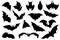 Flying bat black silhouettes, bats halloween symbols swarms. Creepy vampires, gothic horror graphic art. Isolated