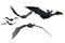 Flying Bats - includes clipping path