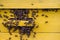 flying bees. Wooden yellow beehive and bees. A beehive from a tree stands on an apiary. The houses of the bees are placed on the