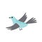 Flying bird. Blue bird, grey wings. Flight. Flat, cartoon, isolated