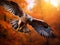 Flying bird Buzzard hawk with blurred orange autumn tree forest in Wildlife scene from Bird in Hawk in th