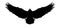 Flying bird icon logo, Vector eagle silhouette.Falcon illustration