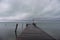 Flying Birds above the Caribbean Sea in Caye Caulker, Belize