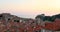 Flying birds over Dubrovnik old town in Croatia