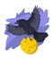 flying black raven with cheese