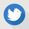 Flying blue twitter bird