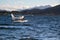 Flying boat on the Lake Te Anau