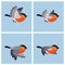 Flying bullfinch male animation sprite sheet