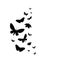 Flying butterflies silhouettes.