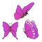 Flying butterfly with purple wings. Collection of beautiful insects.