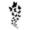 Flying butterflys pattern. Black Sketch butterflys on white background.