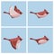 Flying Cardinal Bird female animation sprite sheet