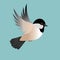 Flying chickadee bird on a blue background