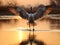 A Flying Common Crane Bird - Eurasian Crane - landing on Water with Reflection - Little Rann of Kutch, Gujarat, India