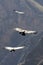 Flying condor over Colca canyon in Peru, South America.