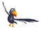 flying Crow cartoon character