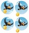 The flying crow drops the coin dollar or euro