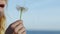 Flying dandelion seeds