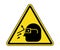 Flying Debris Warning Label. International Eye Hazard Symbol Vector EPS10