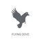 Flying Dove icon. Trendy Flying Dove logo concept on white background from animals collection