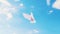 Flying dove of peace ageinst blue clean sky