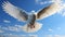 Flying dove, realistic and clear paws, blue sky background, 45 degree perspective shot realistic photography, Higher coherence.Gen