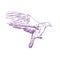 Flying dove vector llustration realistic sketch