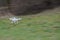 Flying drone in fast motion